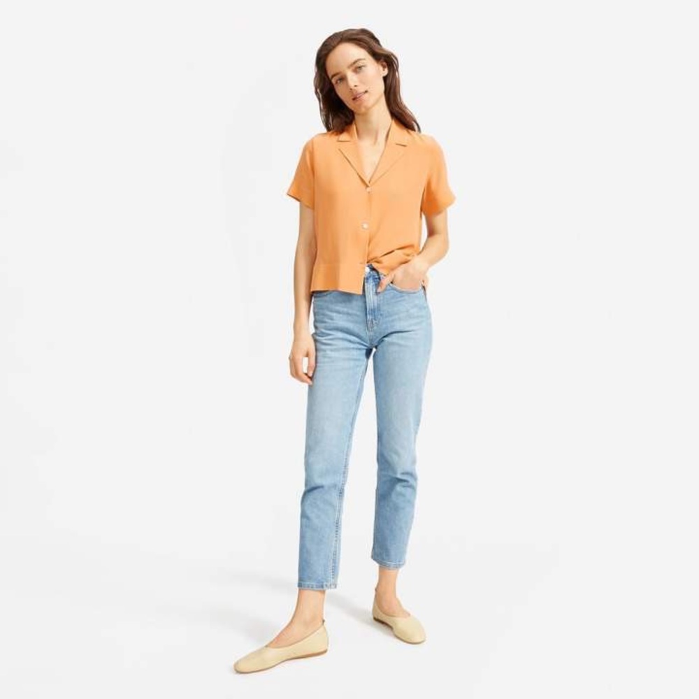 Everlane Clean Silk Notch Shirt